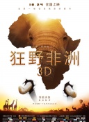 魔域永恒的最佳副本攻略